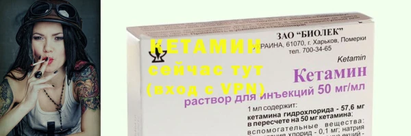 гидра Арсеньев