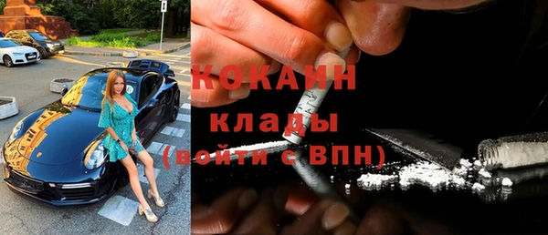 гидра Арсеньев